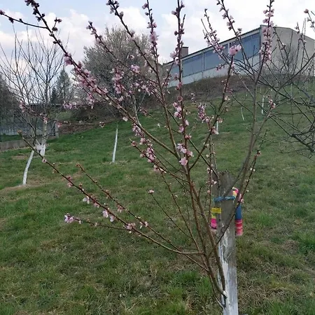 Ranc Mustajbegovic Villa Kiseljak